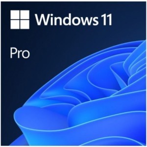 Windows 11 Pro TÃ¼rkÃ§e Oem (64 Bit) FQC-10556