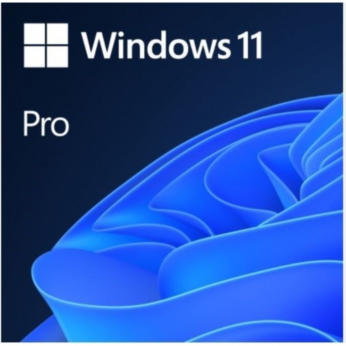 OEM | Windows 11 Pro TÃ¼rkÃ§e Oem (64 Bit) FQC-10556 | FQC-10556 |  | 